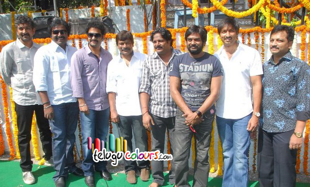 Gopichand New Movie Opening Images