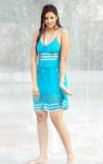 Hamsa Nandini