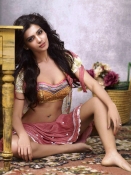 Tollywood Actresses Calender 2012