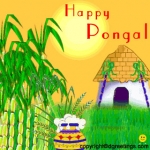 Happy Pongal to All    