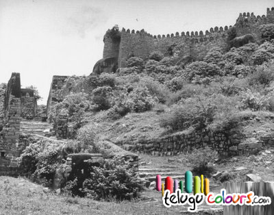 The Grass Surrounding The Golconda