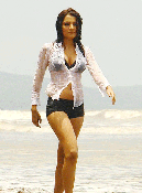 Celina Jaitley spicy pics