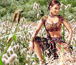 Celina Jaitley spicy pics