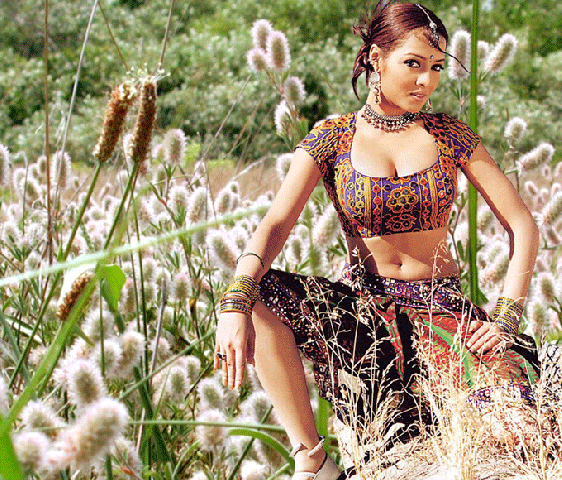 Celina Jaitley spicy pics