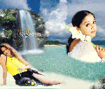 Jyothika wallpapers
